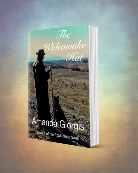 The Wideawake Hat by Amanda Giorgis book cover