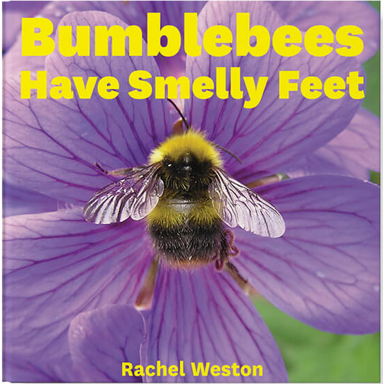 Bumblebees-Have-Smelly-Feet-Book-Template by Rachel Weston